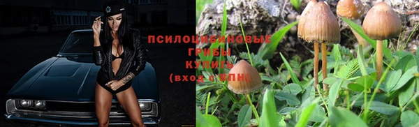 прущие грибы Кинешма