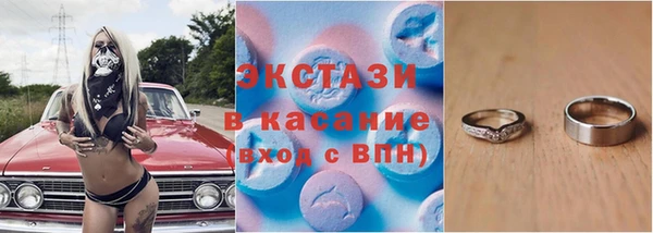 индика Киреевск