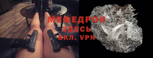 индика Киреевск