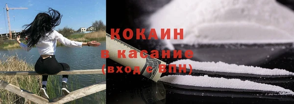 прущие грибы Кинешма