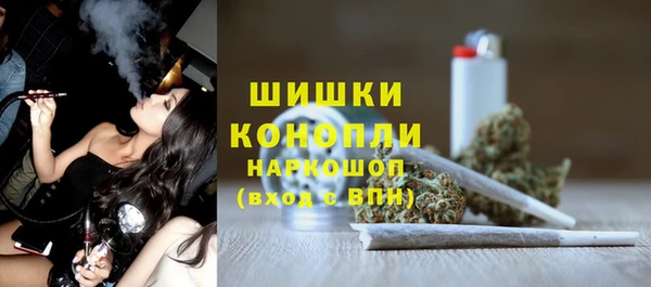 прущие грибы Кинешма