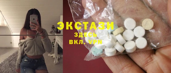 индика Киреевск