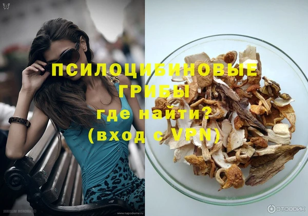 хмурый Козельск
