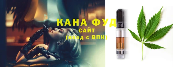 индика Киреевск