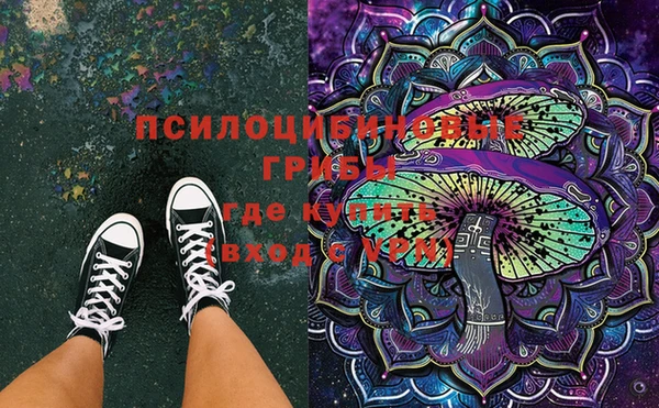 прущие грибы Кинешма