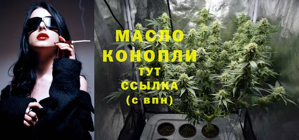 индика Киреевск