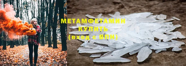 прущие грибы Кинешма