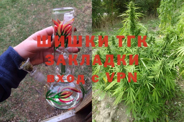 индика Киреевск