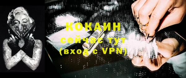 прущие грибы Кинешма