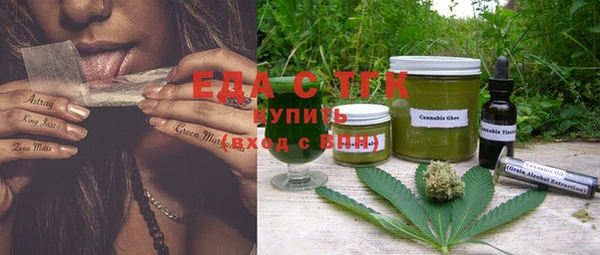 индика Киреевск