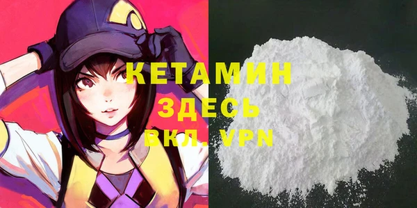 индика Киреевск