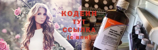 прущие грибы Кинешма