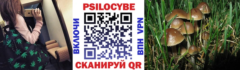 Псилоцибиновые грибы мухоморы  Купить где  Миллерово 